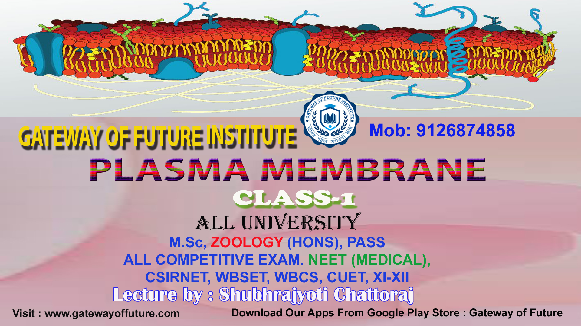 PLASMA MEMBRANE STRUCTURE